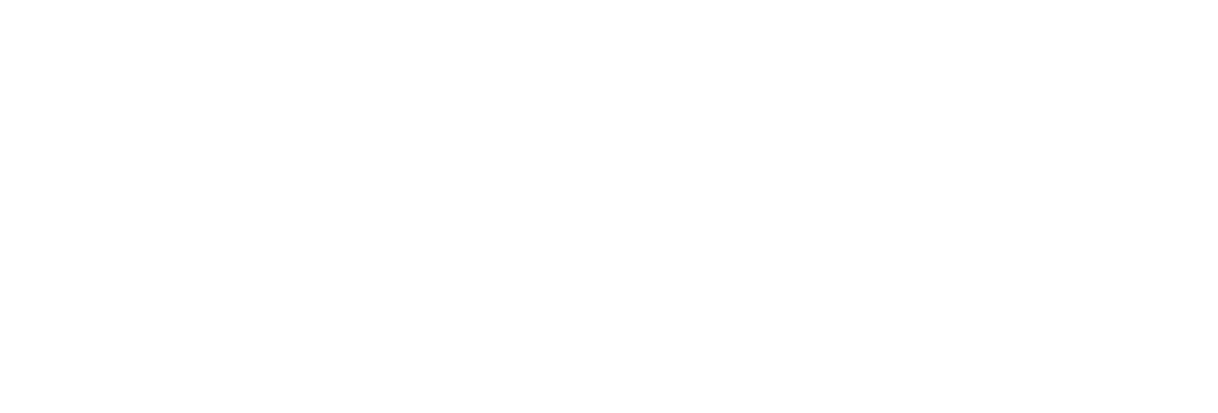 LE MILLESIUM
